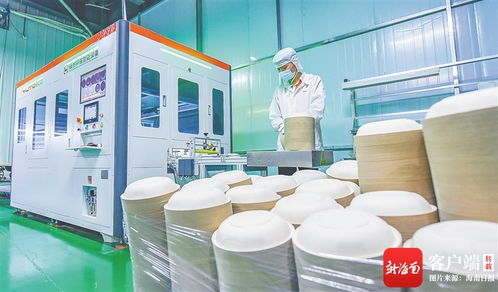 變 看?？趪腋咝聟^云龍產業園甘蔗渣變成環保餐具