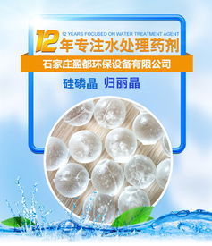 臺(tái)州鍋爐歸麗晶價(jià)格 公司動(dòng)態(tài) 石家莊盈都環(huán)保科技